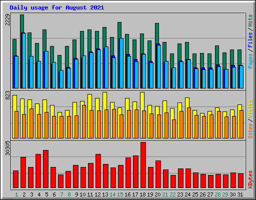 Daily usage for August 2021