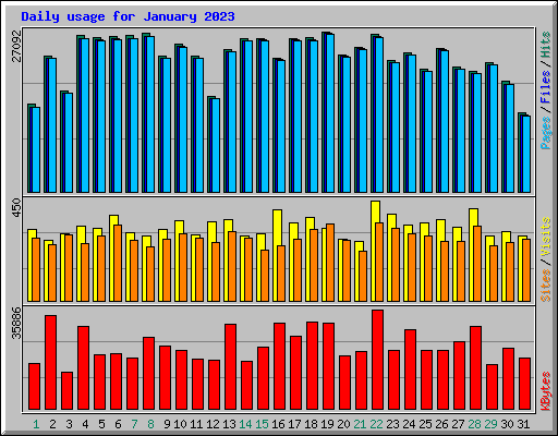 Daily usage for January 2023