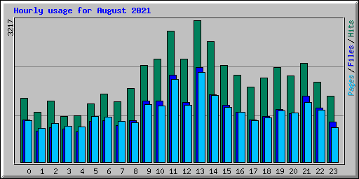 Hourly usage for August 2021