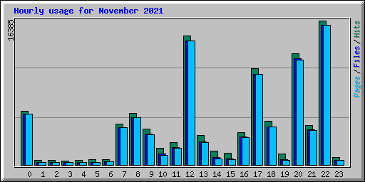 Hourly usage for November 2021