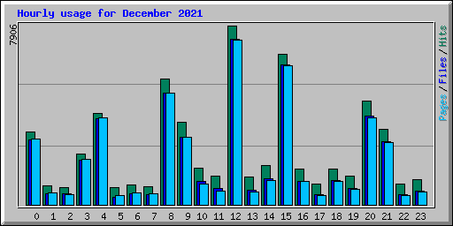 Hourly usage for December 2021