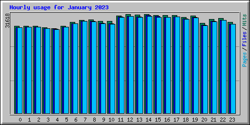 Hourly usage for January 2023