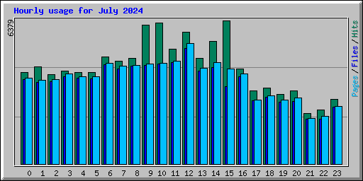Hourly usage for July 2024