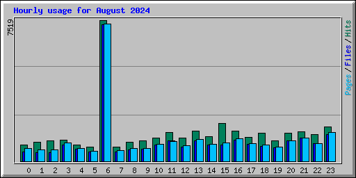 Hourly usage for August 2024