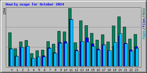 Hourly usage for October 2024