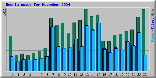 Hourly usage for November 2024