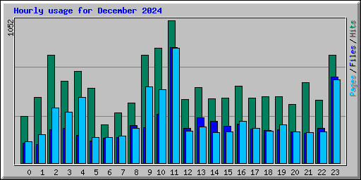 Hourly usage for December 2024