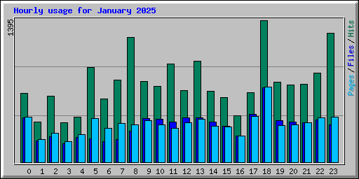 Hourly usage for January 2025