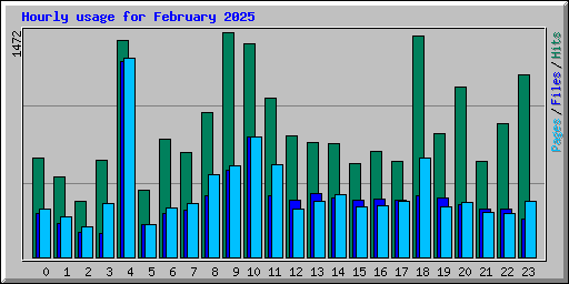 Hourly usage for February 2025