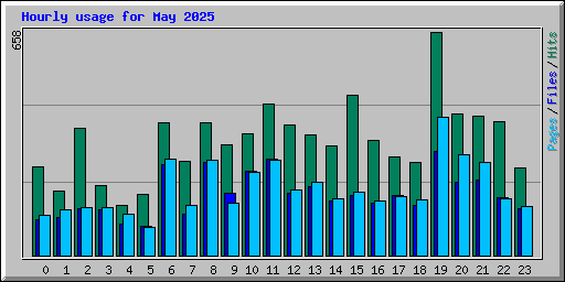 Hourly usage for May 2025