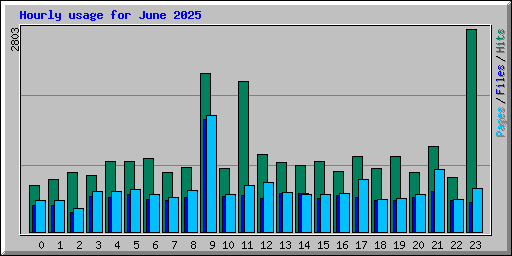 Hourly usage for June 2025