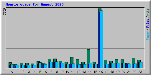 Hourly usage for August 2025
