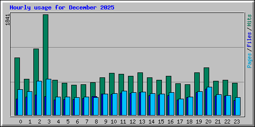 Hourly usage for December 2025
