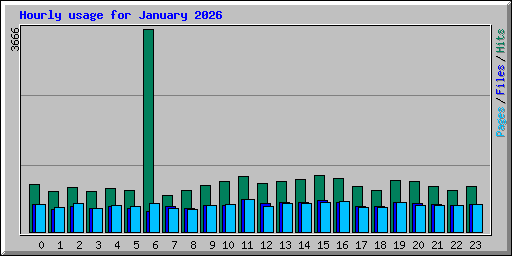 Hourly usage for January 2026